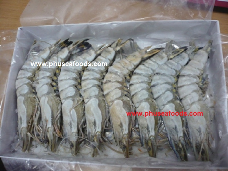 Semi-IQF Black Tiger Shrimp_Size 16-20_80%NW_Upper side